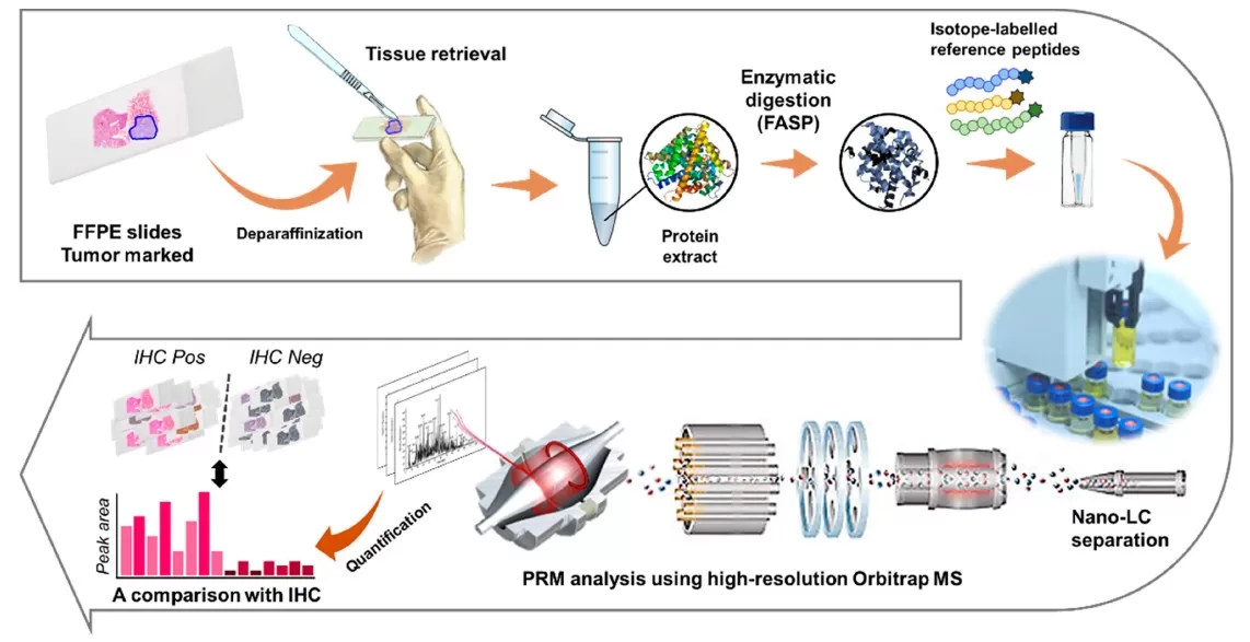 PRM workflow using FFPE tissue slides